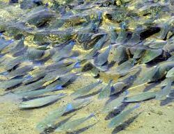 الحقيل إلى روسيا.. لنقل تجربة السعودية النموذجية في التحول البلدي الذكي