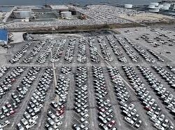 ارتفاع عدد شهداء العدوان الإسرائيلي المستمر على غزة إلى 51,365 شهيدًا