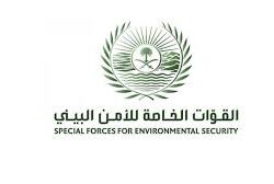 حرس الحدود بمنطقة جازان يقبض على (4) مخالفين لنظام أمن الحدود لتهريبهم (540) كيلوجرامًا من نبات القات المخدر