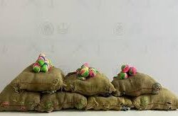 حضارة ارم ذات العماد المدينة التي بناها الانسان ولم يسكنها