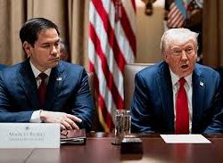 أسراب “سمك الحريد” تصل إلى شواطئ جزر فرسان