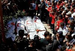 حرس الحدود بمنطقة جازان يحبط تهريب 504 كيلوجرامات من نبات القات المخدر