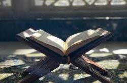 “الموارد البشرية” تشارك بمجموعة من المساهمات والمبادرات في موسم حج 1446هـ