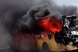 حرس الحدود بمنطقة جازان يحبط تهريب (120) كيلوجرامًا من نبات القات المخدر