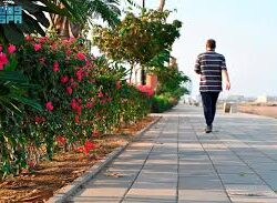 “تعليم جازان” يحصد 59 ميدالية في مسابقة “كانجارو” موهبة للرياضيات 2025