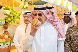 رحّب بالحجيج ووجّه بأعلى درجات التميز في خدمتهم.. ولي العهد يرأس جلسة الوزراء والمجلس يصدر 13 قرارًا