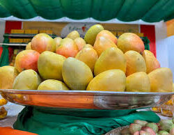 غرفة جازان تطلق مبادرة “طموح ممكن” لرواد الأعمال في قطاع غيار السيارات