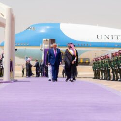 من جازان إلى العالم.. المانجو الجازانية قصة نجاح وركيزة للتنمية الزراعية يحتفي بها مهرجان صبيا سنويًا