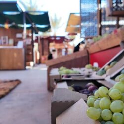 رابطة العالم الإسلامي تُشيد بالمواقف الدولية المتتابعة بشأن الحرب الوحشية على قطاع غزة.. والبيان الصادر عن 26 دولة لإنهاء الحرب في القطاع