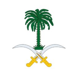 المنافذ الجمركية” تسجل 1541 حالة ضبط خلال أسبوع