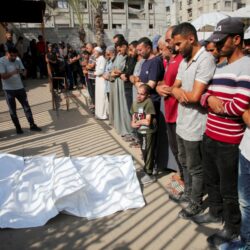 لتعزيز سلامة وجودة الغذاء… برنامج تطوير الثروة الحيوانية والسمكية يعلن توطين تقنية «فيچ قارد»