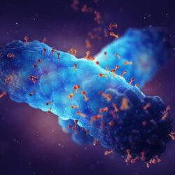 الهيئة الملكية لمدينة الرياض تُعلن عن النسخة الثانية لمهرجان الرياض لموسيقى الأفلام