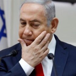 29 مليون ريال في 4 أعوام.. المزاد الدولي لمزارع الإنتاج للصقور يجمع العالم في الرياض