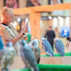 حكومة نتنياهو هل أصبحت عبئا على السياسة الأمريكية في منطقة الشرق الأوسط