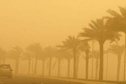 235 حديقة متنفس صيفي لأهالي وزوار منطقة جازان