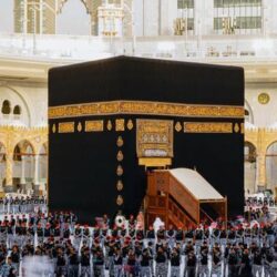 الأمير محمد بن عبدالعزيز يطّلع على جهود لجنة مراقبة عقارات الدولة وإزالة التعديات بالمنطقة