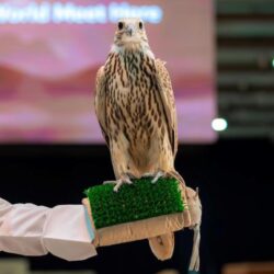 العطش يفتك بسكان قطاع غزة وسط تلوث المياه الجوفية وانهيار البنية التحتية