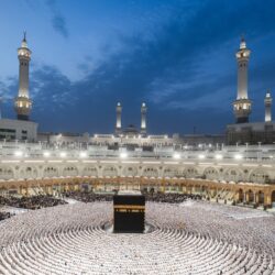 صقارون دوليون يثمنون تسهيلات نادي الصقور في نقل واستضافة الصقور