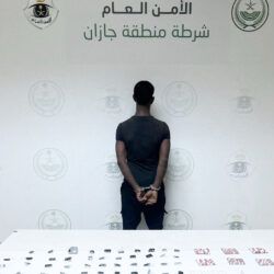 هجرس” أصغر صقار يخطف الأنظار ويعزز الموروث في المزاد الدولي للصقور 2025