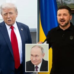 سمو ولي العهد يرأس جلسة مجلس الوزراء في نيوم