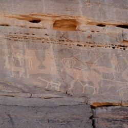 وزير الخارجية يتحرك دبلوماسياً لوقف الانتهاكات في غزة