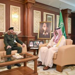 بين الضباب والمدرجات.. “فيفا” مناظر خلابة في جبال جازان