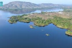 رئيس جامعة جازان يشارك في الحملة الوطنية للتبرع بالدم ويدشن فعالياتها بالبرج الإداري