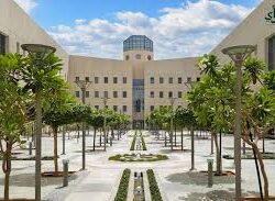 نادي فنون جازان يطلق معرض “صيف السعودية 2025” الفني الرقمي