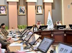 دوريات الإدارة العامة للمجاهدين بمنطقة جازان تقبض على شخص لترويجه نبات القات المخدر