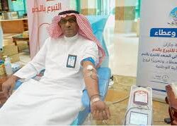 المانجروف في جازان.. شاهد شجرة البحر التي تحرس الحياة