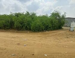 باستثناء واشنطن.. أعضاء مجلس الأمن يحمّلون الاحتلال مسؤولية مجاعة غزة ويدعون لوقف فوري للحرب