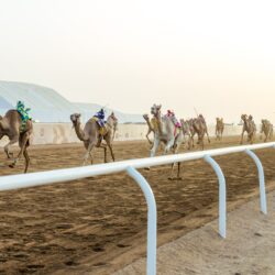 المملكة توزع 2.000 سلة غذائية في ولاية النيل الأزرق السودانية