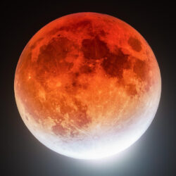 سمو ولي العهد يرأس جلسة مجلس الوزراء في الرياض