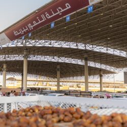 وزراء الخارجية العرب يدينون أي طرح يهدد سيادة الدول العربية ووحدة أراضيها