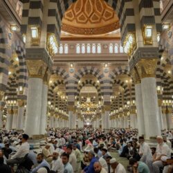 القبض على مخالفين لنظام أمن الحدود بمنطقة جازان لتهريبهما (200) كيلوجرام من نبات القات المخدر