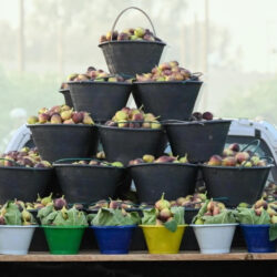 HONOR تشارك في المنتدى العالمي للهيئات التنظيمية (GSR) 2025 في السعودية وتستعرض أول نموذج لغوي كبير لمعالجة الكلام على الجهاز