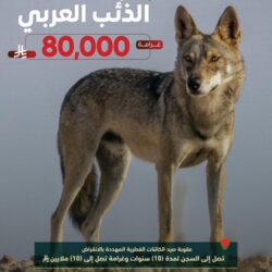 السجن والغرامة لمرتكبي المخالفات التي تهدد السلامة العامة