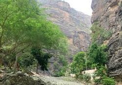 دوريات الإدارة العامة للمجاهدين بمنطقة جازان تقبض على مخالفين لنظام أمن الحدود