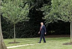 بريطانيا وكندا وأستراليا تعلن الاعتراف رسميًا بدولة فلسطين