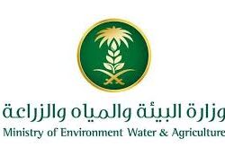 سمو ولي العهد يرأس جلسة مجلس الوزراء في الرياض