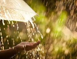 “مصطفى مدبولي”: مصر تبدأ تدريب قوات أمن فلسطينية.. ولا دور لحماس في غزة