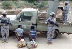 “وادي لجب”.. تحفة جيولوجية ومتنفس سياحي بجازان