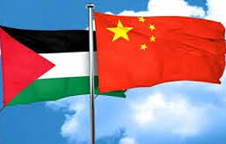 القبض على 13 مخالفًا لنظام أمن الحدود بمنطقة جازان لتهريبهم 260 كيلوجرامًا من نبات القات المخدر