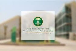 صواب” جازان تحتفي باليوم الوطني الـ 95 بعبق التراث والفخر