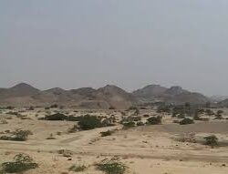 حالة الطقس المتوقعة اليوم