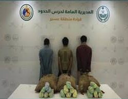 مشاهد من قصر الملك عبدالعزيز بـ”لينة”.. شموخٌ تاريخي يُضيء في اليوم الوطني