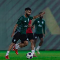 ضبط (4) يمنيين بجازان لتهريبهم الحشيش أقراص خاضعة لتنظيم التداول الطبي