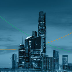 ربع مليون ريال.. بيع صقرين من منغوليا لأول مرة في معرض الصقور