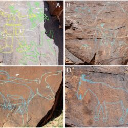 “زيلينسكي”: الوضع في محطة زابوريجيا النووية خطير للغاية بسبب القصف الروسي