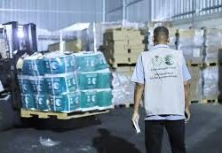 دوريات الإدارة العامة للمجاهدين بمنطقة جازان تقبض على مواطن لنقله (11) مخالفًا لنظام أمن الحدود